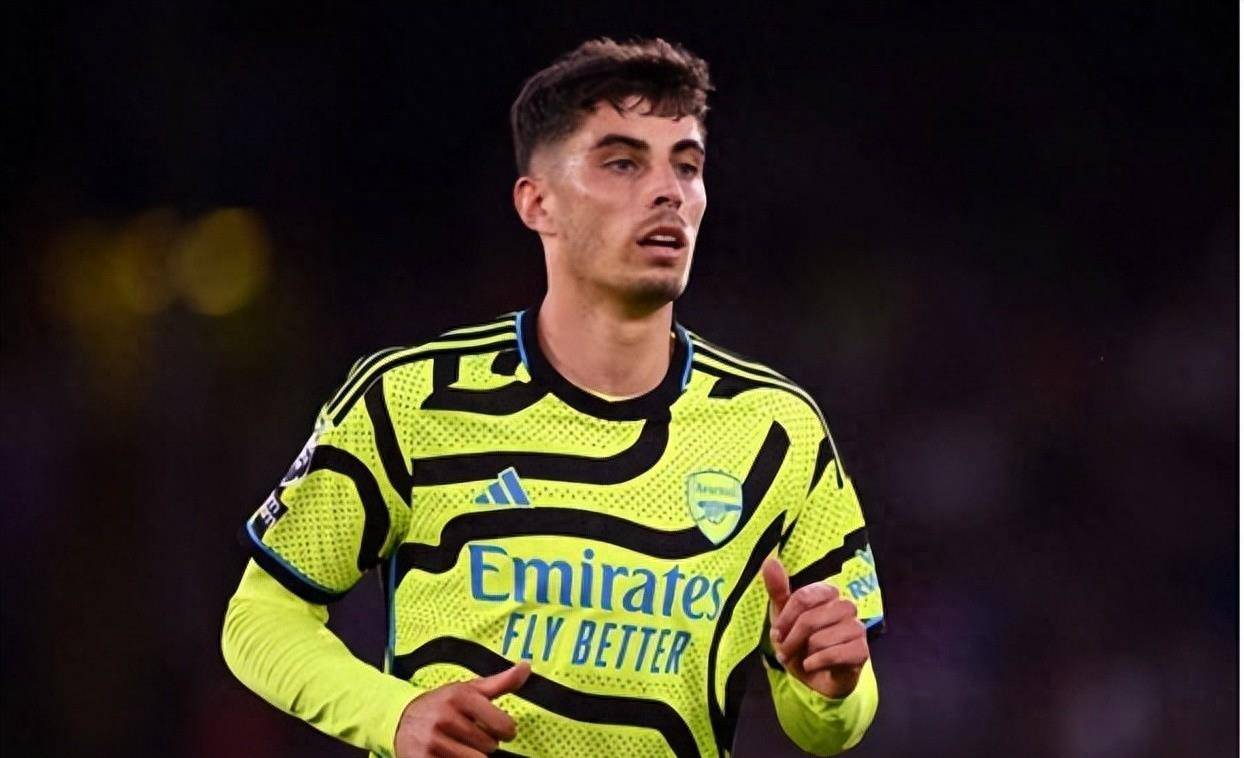 拥有丰富的 拥有丰富的